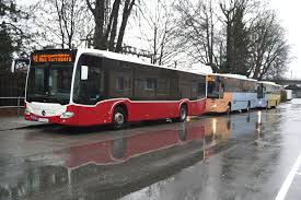 busunternehmen hallein